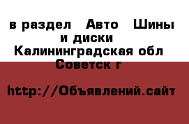  в раздел : Авто » Шины и диски . Калининградская обл.,Советск г.